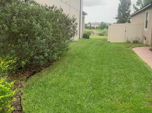 Benjamin P.'s Lawn Mowing service result