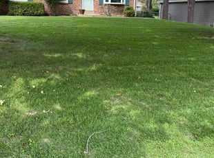 Rohn B.'s Lawn Mowing Service service result