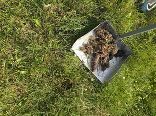 Cleanups by Kyle Yelton for Erin M. in Indianapolis, IN
