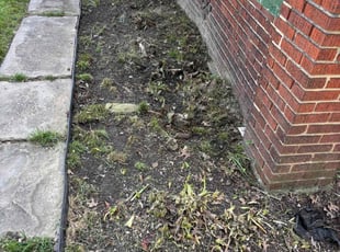 Cleanups by Seantrell Lawson for Carlos P. in Cleveland, OH
