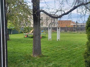 Jennifer A.'s Lawn Mowing service result