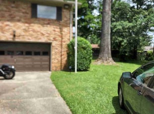 Bush Trimming by Chris Chance for Jeff S. in Hoover, AL