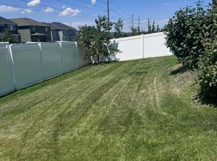 LaTanya S.'s Yard Cutting service result