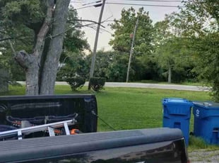 Dung C.'s Lawn Care service result