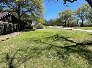 Kristine B.'s Lawn Care service result