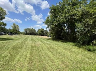 Lisa S.'s Grass Cutting service result