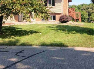 Angie P.'s Lawn Mowing service result