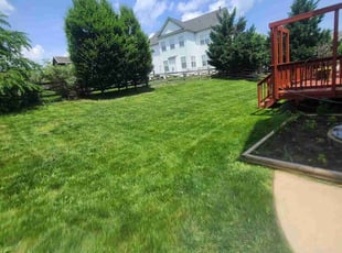 Louis A.'s Lawn Service service result