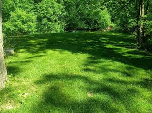 Hollis D.'s Lawn Maintenance service result