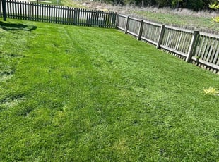 Jonathan H.'s Lawn Care service result