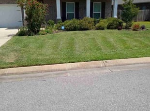 Amber C.'s Lawn Service service result