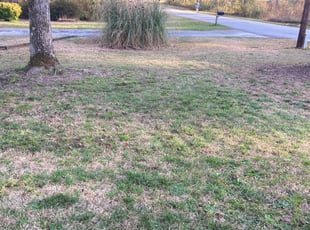Leaf Removal by Leonardo Mora Hernandez for Michelle R. in Loganville, GA