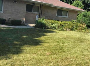 Bush Trimming by Dontrell Hood for Kent P. in Brown Deer, WI