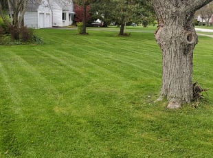 Jeff W.'s Lawn Care service result