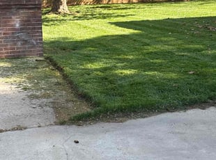 Terrence H.'s Lawn Mowing service result