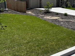 Angelisa D.'s Lawn Service service result