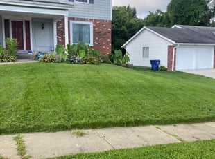 Joel H.'s Yard Cutting service result