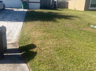 Robert S.'s Lawn Service service result