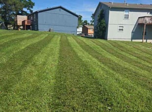 Mason C.'s Grass Cutting service result