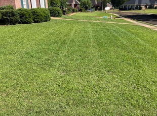 Leland D.'s Lawn Care service result