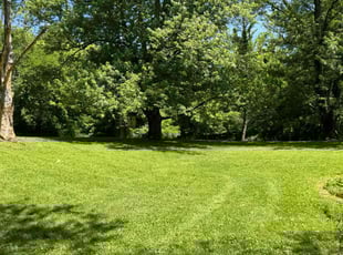 David E.'s Lawn Mowing Service service result