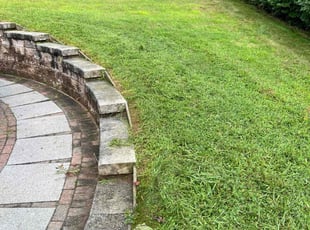 Karen R.'s Lawn Mowing service result