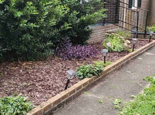 Weeding by Shaun Marshall for Salvatore A. in Virginia Beach, VA