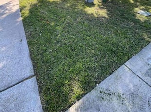 Kris S.'s Lawn Mowing Service service result