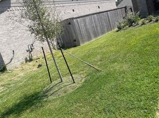 William S.'s Lawn Mowing service result