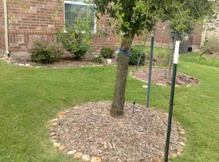Weeding by John Brown for Dana W. in Princeton, TX