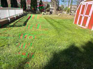 Andrea s.'s Lawn Mowing service result