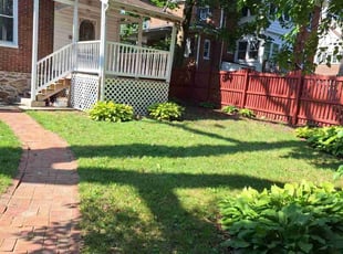 Carol C.'s Yard Cutting service result