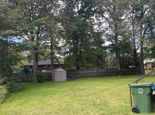 Pamela G.'s Lawn Mowing service result