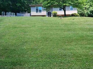 Sarah G.'s Grass Cutting service result