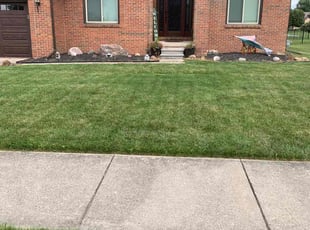 Nick K.'s Yard Cutting service result