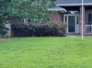 Bush Trimming by Kelly Arndt for Diane W. in Pace, FL