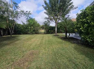 Donna H.'s Lawn Mowing service result