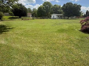 Denise M.'s Lawn Service service result