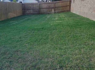 Douglas D.'s Lawn Service service result