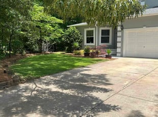 Imporis P.'s Lawn Care service result