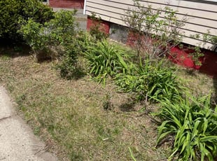 Leaf Removal by Terrance Robinson for Bernice C. in Easthampton, MA