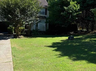 Darrell w.'s Lawn Care service result