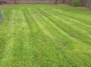 Steven E.'s Grass Cutting service result