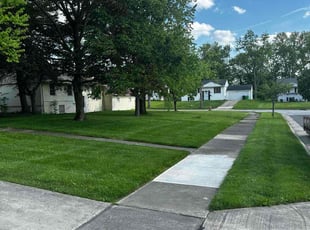 Tom W.'s Grass Cutting service result