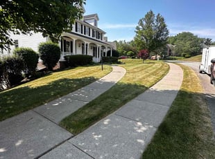 Elizabeth K.'s Lawn Mowing service result