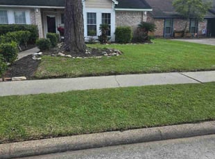Candice W.'s Lawn Care service result