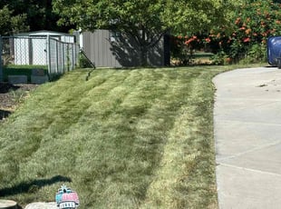 Gregg S.'s Lawn Care service result