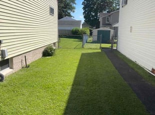 Wendy L.'s Grass Cutting service result