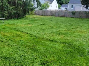 John C.'s Lawn Maintenance service result