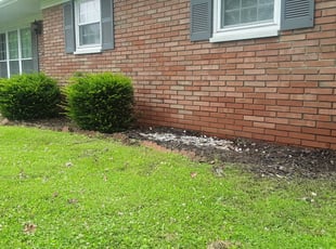 Weeding by David Rodriguez for Dorthea M. in Belleville, IL